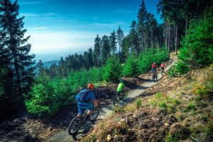 Průvodce českými trailcentry a bikeparky