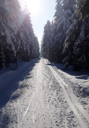 KRUŠNOHORSKÁ BÍLÁ STOPA – DLOUHÁ LOUKA