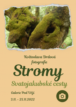 STROMY SVATOJAKUBSKÉ CESTY - KVĚTOSLAVA DRDOVÁ