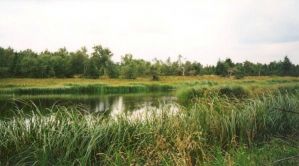 Naturschutzgebiet Černý rybník (Schwarzer Teich) - Klíny (Göhren)