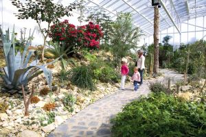 BOTANISCHER GARTEN TEPLICE