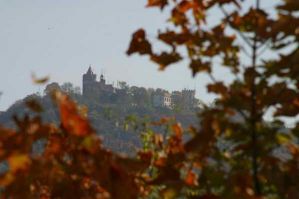 RUINE DER BURG DOUBRAVKA - Teplice