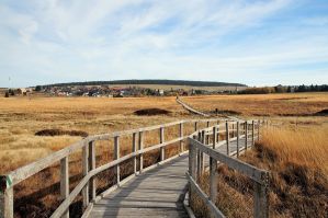 BOŽÍDARSKÉ RAŠELINIŠTĚ (Gottesgaber Torfmoor)